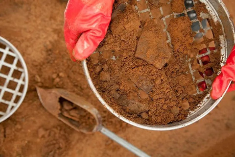 土壤重金属的检测方法